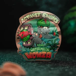 Watermelon Wowza Delta-9 THC Gummies (500mg)